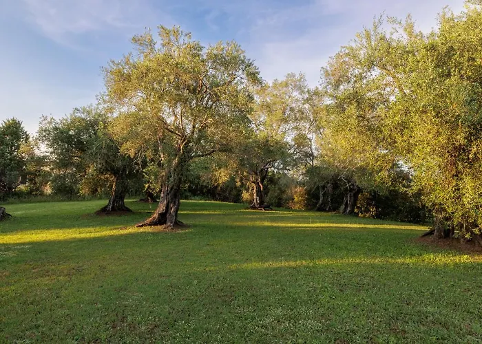 Vilă Triklino Estate *